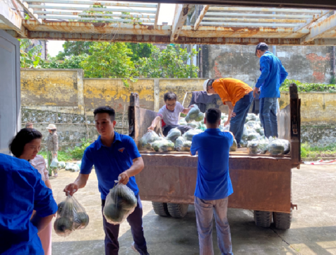 Công đoàn và Đoàn Thanh niên Công ty hỗ trợ vận chuyển dưa cho CBCNV